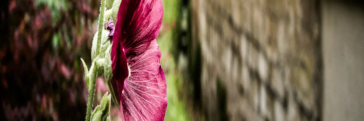 Image Installateur spa et jacuzzi Éragny