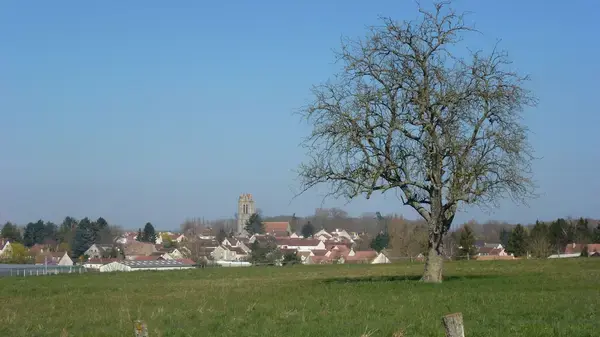 Installateur Spa IDF Installateur spa et jacuzzi Presles-en-Brie